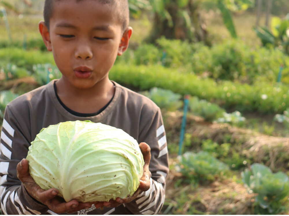 ข้าวกลางวันเพื่อเด็กชายขอบ